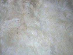 Winter White Baby Alpaca Rug