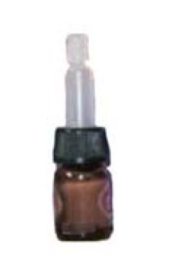 Aromatherapy Oils