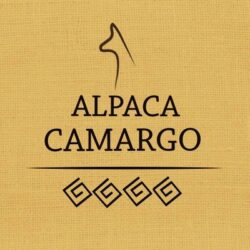Alpaca Camargo