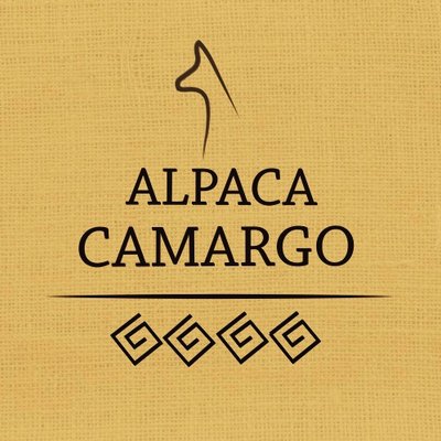 Alpaca camargo of cities dj signify