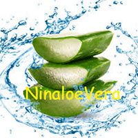 NinAloe