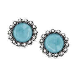 Washington Sterling Silver and Amazonite Earrings